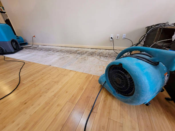 Professional Basement Flood Cleanup technician working in Clinton, PA